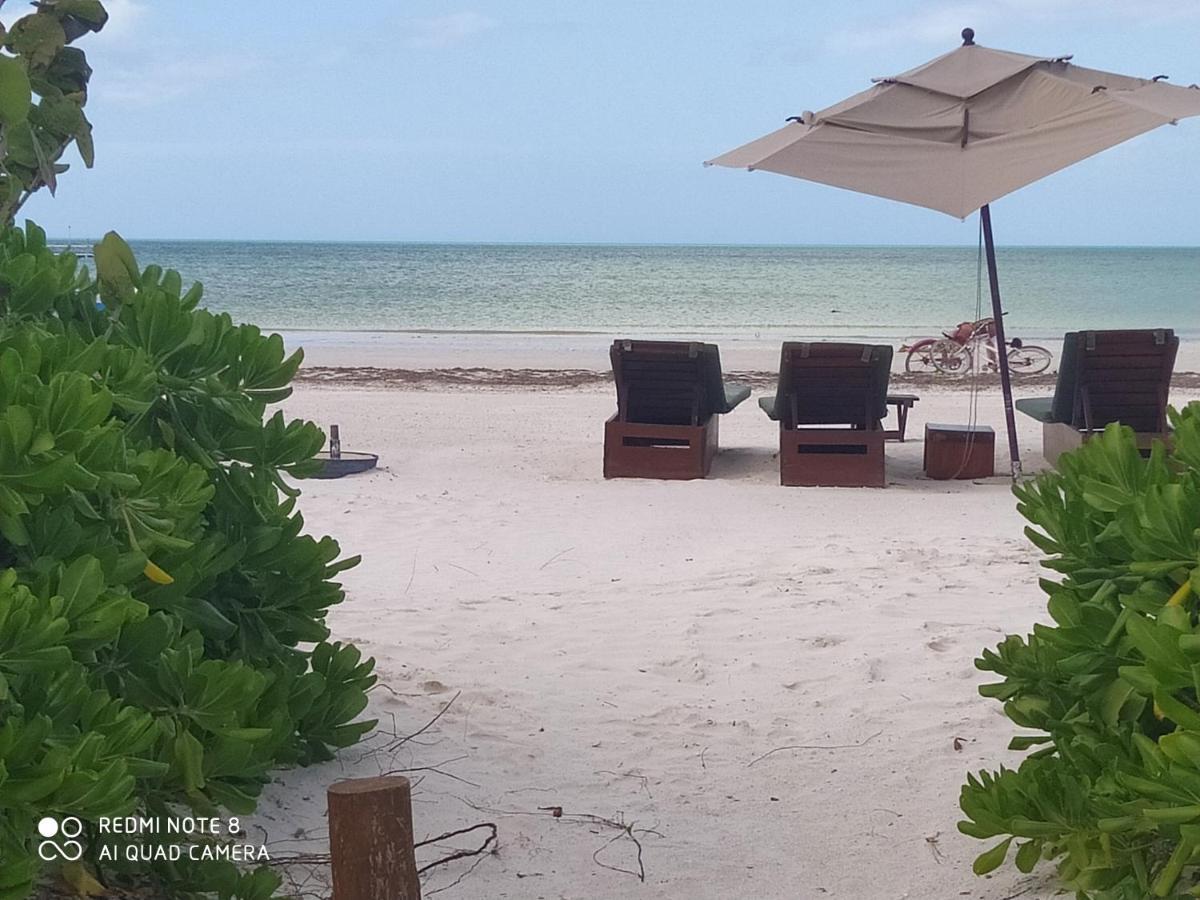 Mi Habitat Holbox-Maravilla Natural Exterior photo