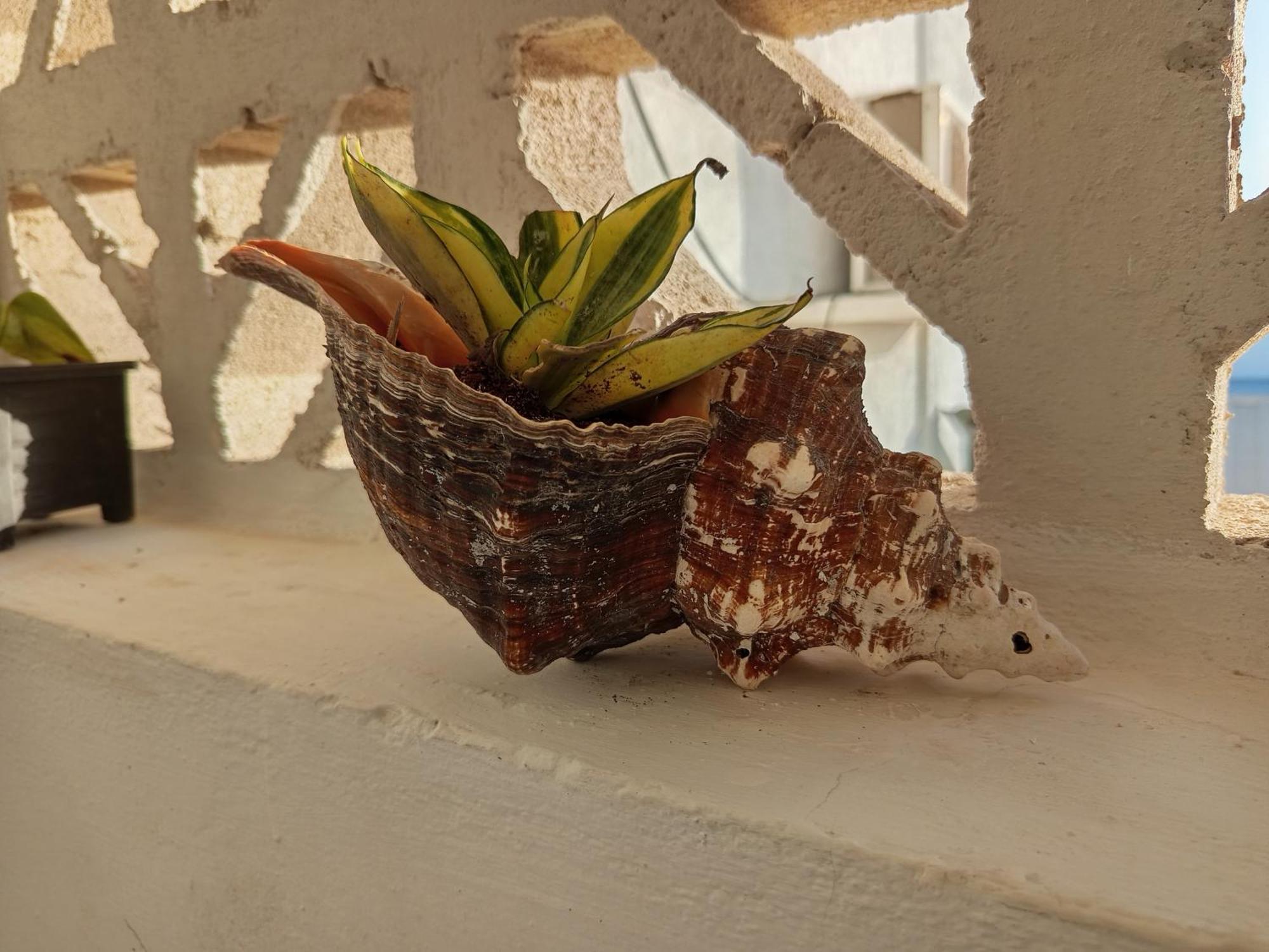 Mi Habitat Holbox-Maravilla Natural Exterior photo
