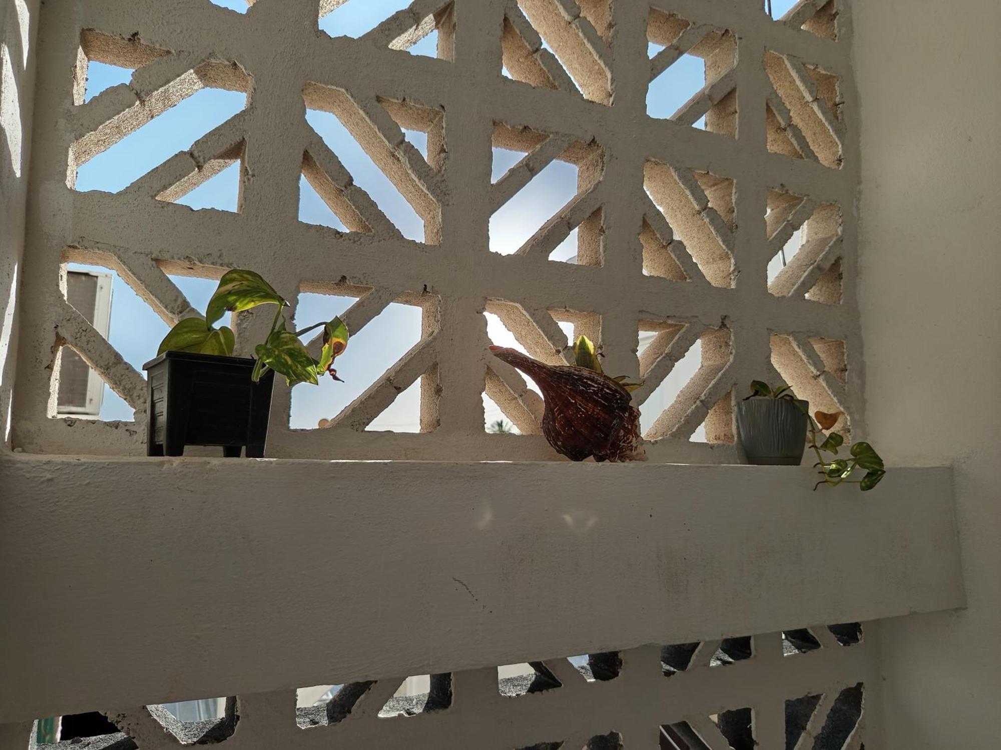 Mi Habitat Holbox-Maravilla Natural Exterior photo
