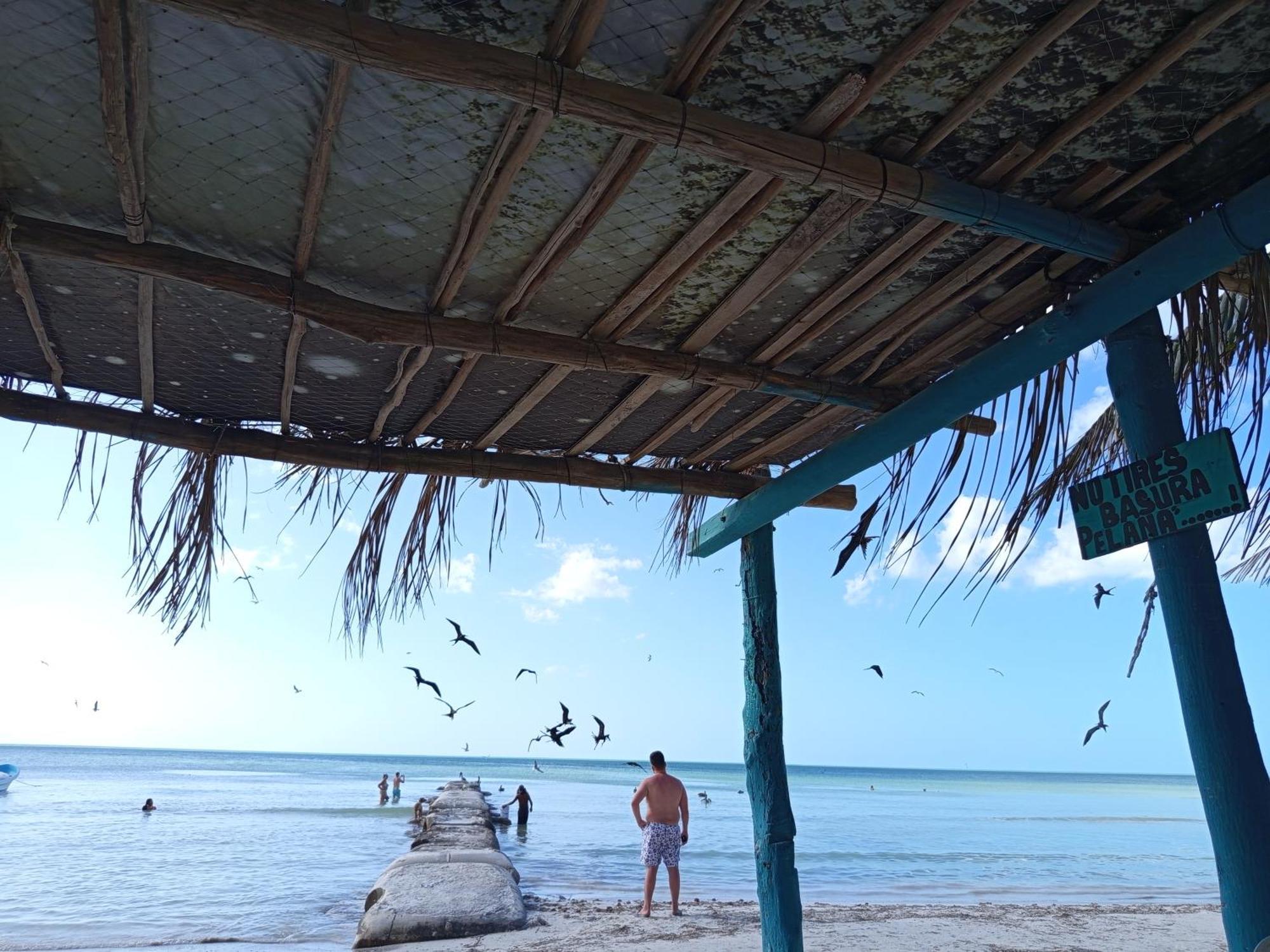 Mi Habitat Holbox-Maravilla Natural Exterior photo
